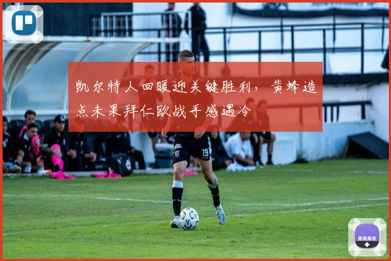 凯尔特人回暖迎关键胜利，黄蜂造点未果拜仁欧战手感遇冷